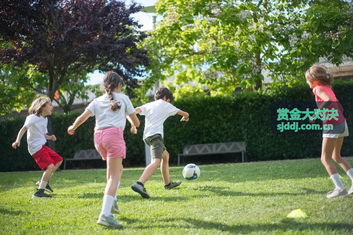 赏金大对决规则清单与参与流程示意图
